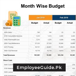DDO Budget Month Wise