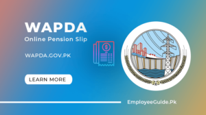 WAPDA Online Pension Check & Download Form