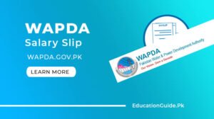WAPDA Salary Slip